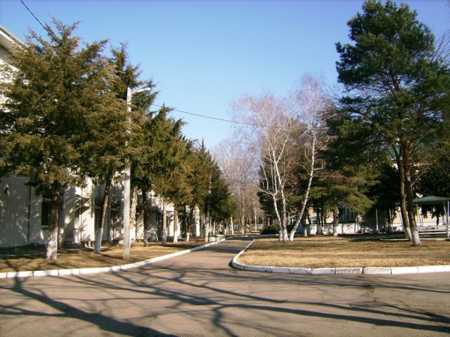 img1239712789 b