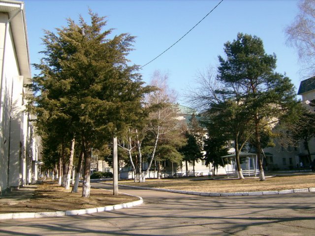 img1239712978 b